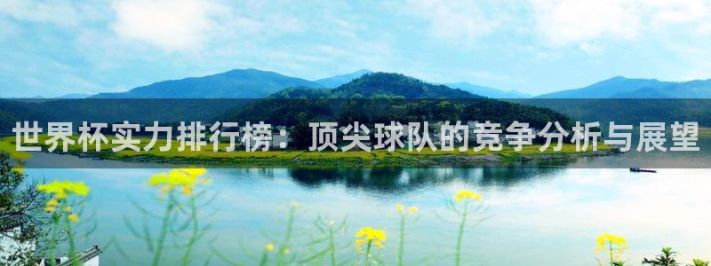 世界杯足球：世界杯实力排行榜：顶尖球队的竞争分析与展望