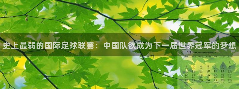 世界杯欧洲区赛程：史上最弱的国际足球联赛：中国队欲成为下一届世界冠军的梦想