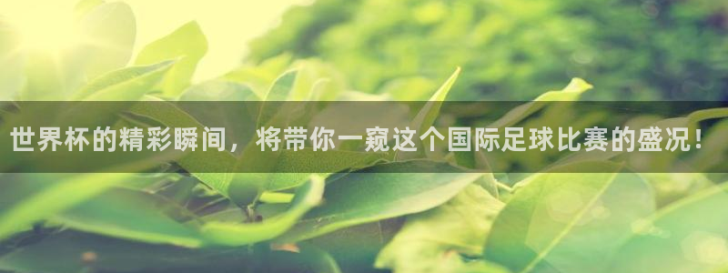 世界杯官网：世界杯的精彩瞬间，将带你一窥这个国际足球比赛的盛况！