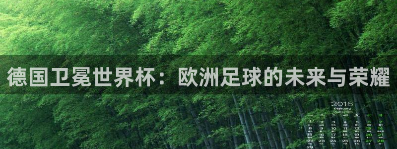 世界杯时间：德国卫冕世界杯：欧洲足球的未来与荣耀