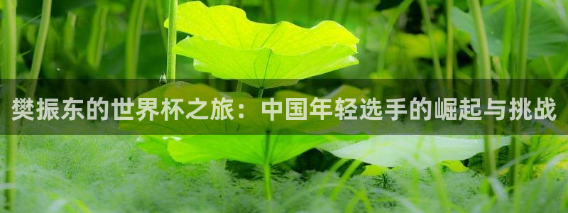 2026年足球世界杯赛程时间表：樊振东的世界杯之旅：中国年轻选手的崛起与挑战