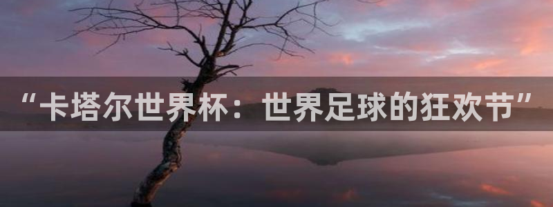 世界杯足球：“卡塔尔世界杯：世界足球的狂欢节”