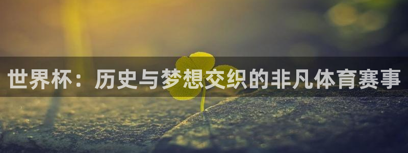 世界杯预选赛亚洲区赛程：世界杯：历史与梦想交织的非凡体育赛事