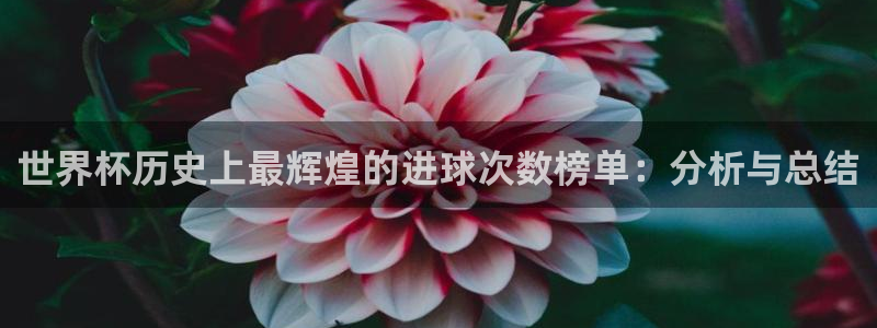 2026世界杯直播免费观看：世界杯历史上最辉煌的进球次数榜单：分析与总结