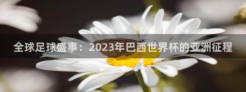 2026世界杯赛程时间表最新：全球足球盛事：2023年巴西世界杯的亚洲征程