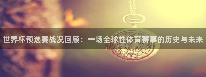 2026世界杯赛：世界杯预选赛战况回顾：一场全球性体育赛事的历史与未来