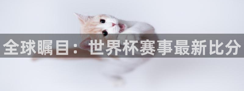 世界杯预选赛排名：全球瞩目：世界杯赛事最新比分