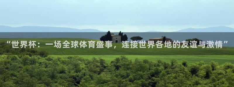 西超杯直播:“世界杯:一场全球体育盛事,连接世界各地的友谊与激情”