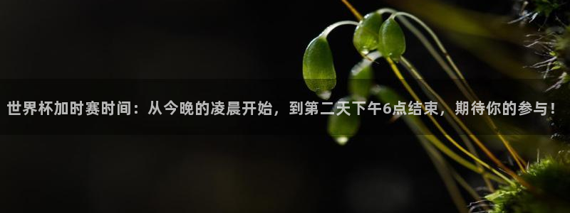 2026世界杯中国队:世界杯加时赛时间:从今晚的凌晨开始,到第二天下午6点结束,期待你的参与!