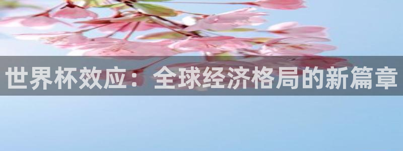 预选赛世界杯：世界杯效应：全球经济格局的新篇章